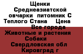 Щенки Среднеазиатской овчарки (питомник С Теплого Стана) › Цена ­ 20 000 - Все города Животные и растения » Собаки   . Свердловская обл.,Кировград г.